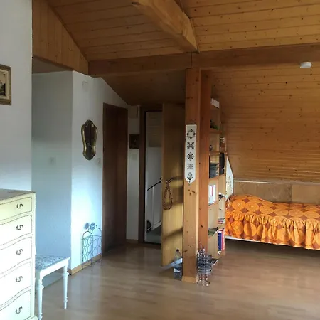 1-room Under Roof With View