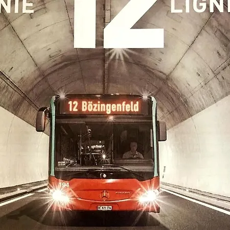 Appartement 1-room Under Roof With View Brugg (Bern)