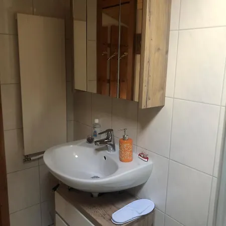 1-room Under Roof With View Brugg (Bern)