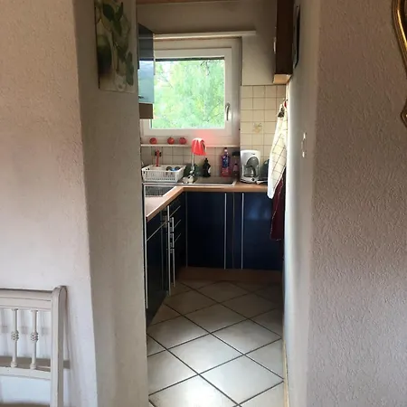1-room Under Roof With View Brugg (Bern)