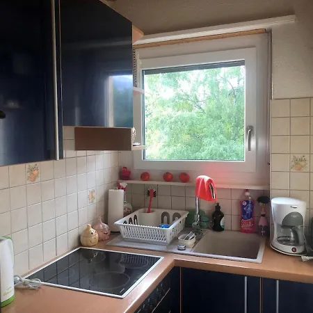 1-room Under Roof With View Appartement *