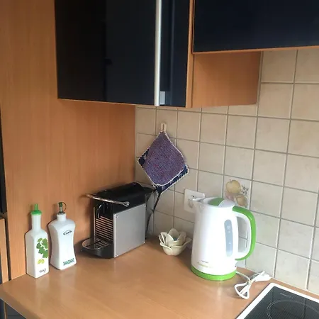 1-room Under Roof With View Brugg (Bern)