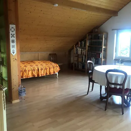 1-room Under Roof With View