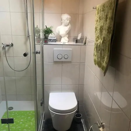 1-room Under Roof With View Appartement Brugg (Bern)