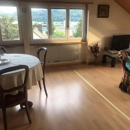 Apartman 1-room Under Roof With View