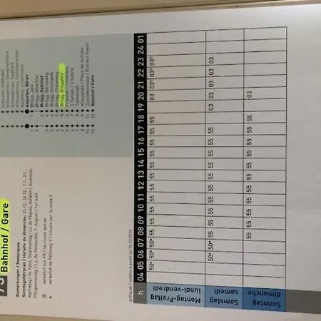 Appartement 1-room Under Roof With View Brugg (Bern)