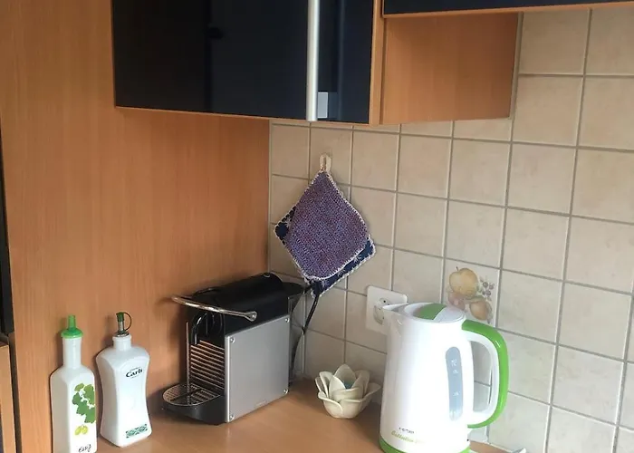 1-room Under Roof With View Brugg (Bern)