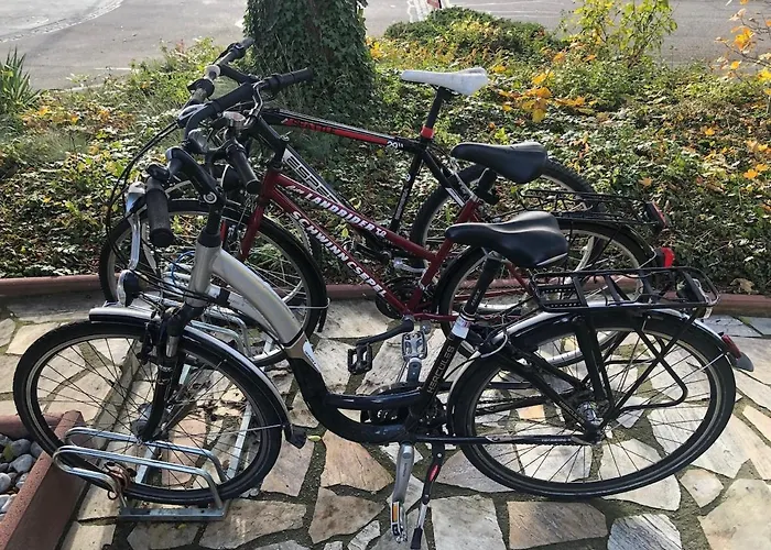 1-room Under Roof With View